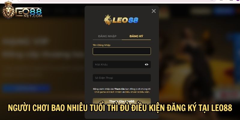 Người chơi bao nhiêu tuổi thì đủ điều kiện đăng ký tại LEO88?