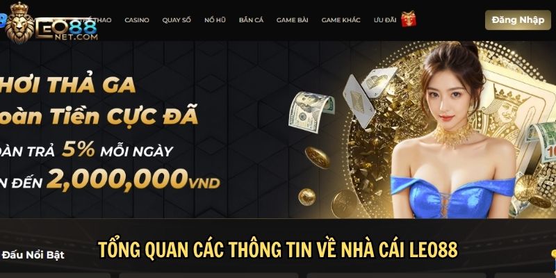 Tổng quan các thông tin về nhà cái LEO88