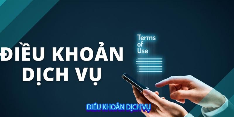 Điều Khoản Dịch Vụ